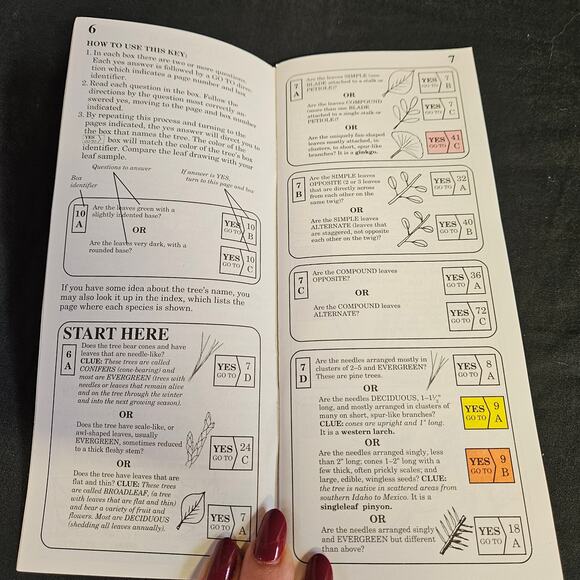 Vintage The National Arbor Day Foundation What Tree Is That Guide Lot of 10 - Picture 4 of 6